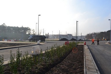 Dzięki zieleni cały Plac Hoffmanna zmieni się nie do poznania